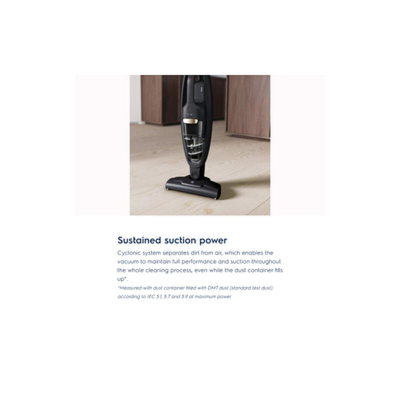 ELECTROLUX Stick Vacuum Cleaner WQ61-10GG-image 4