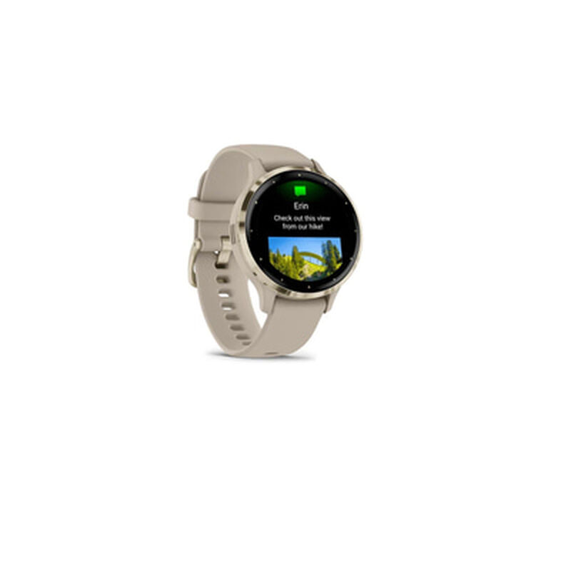 GARMIN Venu 3s Gray/gold 010-02785-52-image 3