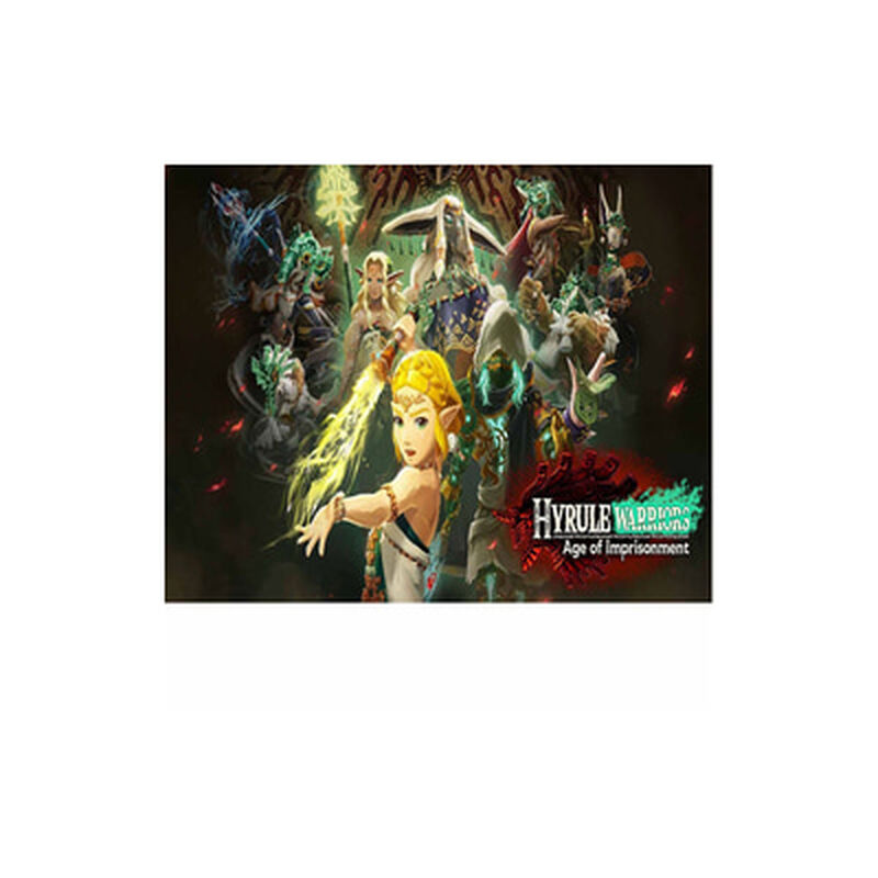 NINTENDO Hyrule Warriors Age Of I NTD-BEE-P-AAGAB-SEA-image 2