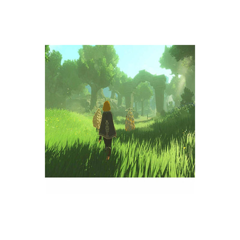 NINTENDO Hyrule Warriors Age Of I NTD-BEE-P-AAGAB-SEA-image 5