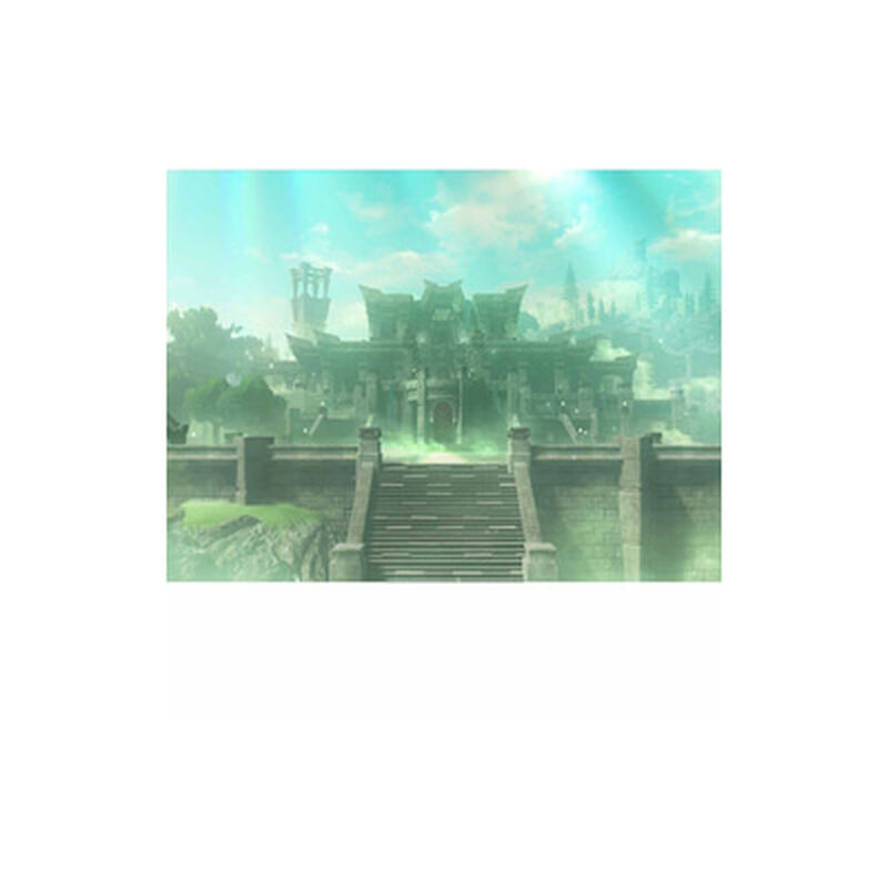 NINTENDO Hyrule Warriors Age Of I NTD-BEE-P-AAGAB-SEA-image 3