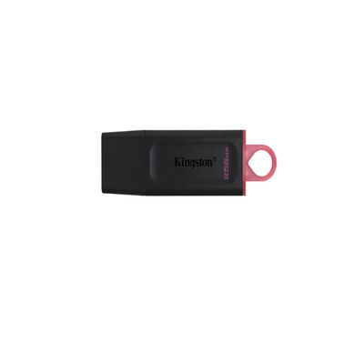 KINGSTON 256gb Dtx Pendrive DTXG2/256GB