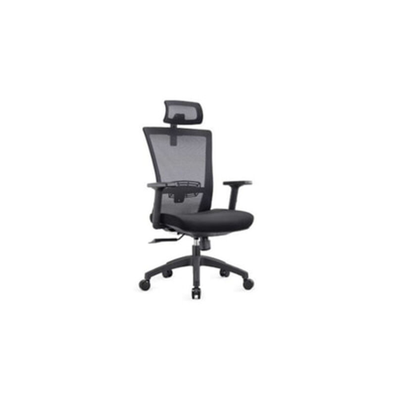 ERGOFLEX High-back Mesh Ergo Chair Mesh Office Chair OWEN-image 2